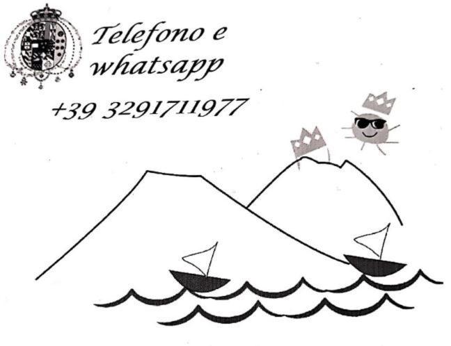 Toledo Plebiscito